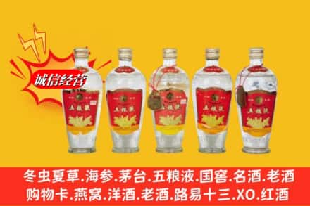 娄底娄星区回收老五粮液