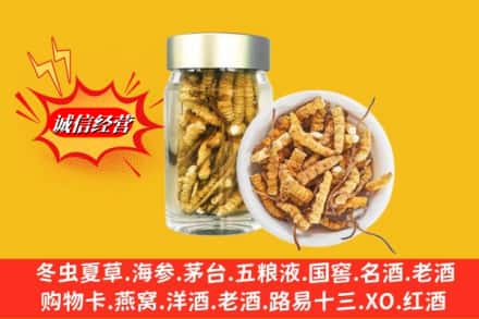 娄底娄星区回收散虫草