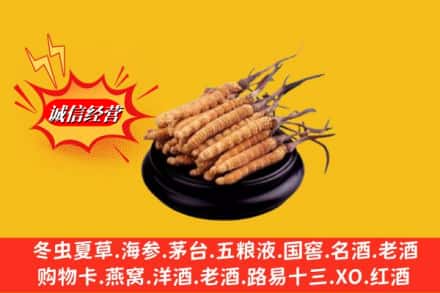 娄底娄星区求购回收虫草多少钱每克